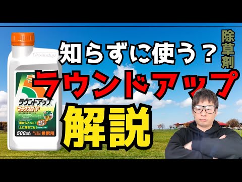 自家製ラウンドアップの作り方は？ 3 つの材料と 5 分で天然の強力な除草剤が完成  庭園