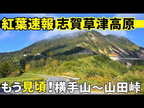 紅葉状況2026！志賀草津高原ルート渋峠は横手山から山田峠が見頃。国道最高地点から見る絶景がオススメ｜モンキー125で秋の群馬と長野ツーリング