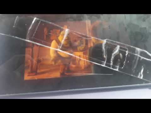 "Animal Age 3: Dawn of the Creatures" Parte 9 - Fierce Flora