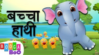 Baccha Hathi Song 🐘 बच्चा हाथ�