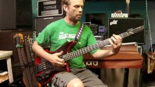 When Problems Arise - Fishbone (Norwood Fisher) bass cover
