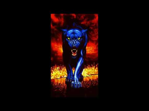 Hard Tekk MM4 LT – BadStyLe