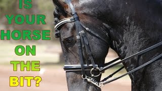 How To Get Your Horse On The Bit (Without Pulling) - Dressage Mastery TV Ep4