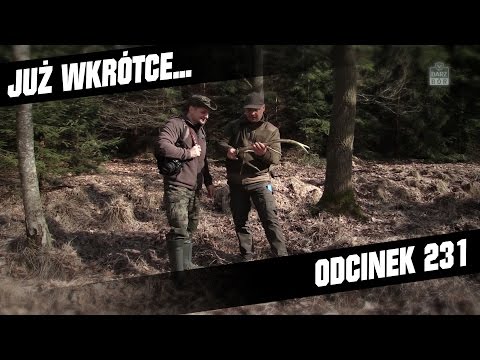 Darz Bór zapowiedź odcinka 231