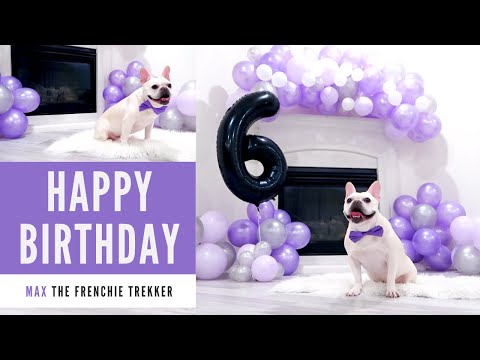 French Bulldog 6th Birthday Balloons | Lo-Fi Music |...