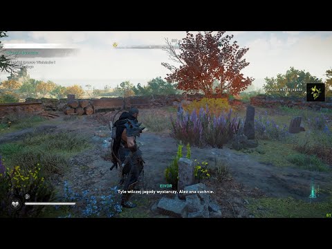 Assassin's Creed Valhalla Wilcze Jagody Rytuał Berserka/Nightshade The Ritual Of The Berserker