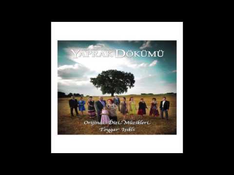 Yaprak Dökümü " Tebessüm ( Enstrumantal ) " Toygar Işıklı