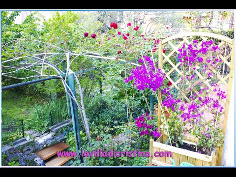 Villa Cristina   Stagione 2025