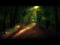 Klaus Schulze - Alles Ist Gut