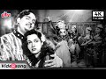 4K शकीला जी का प्यारभरा जारा नाझरे मिला 