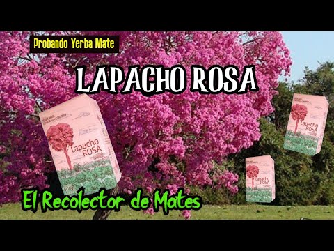 Probando Yerba Mate, Lapacho Rosa