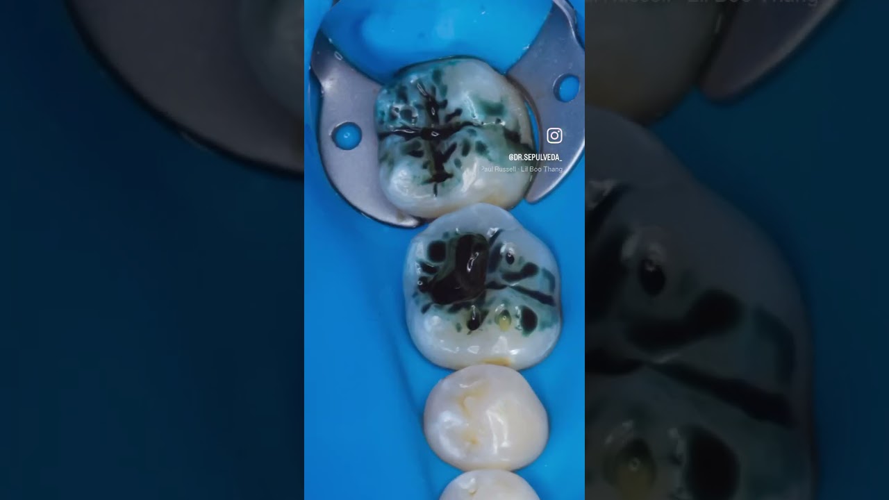 Javier Rodriguez Sepulveda-13