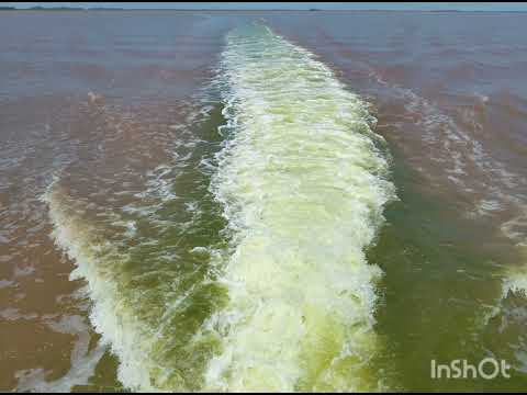 MIRAMAR DE ANSENUZA #5