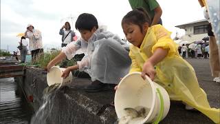 6月7日【びわ湖放送ニュース】触れて 釣って 食べて体感！ 草津水産まつり
