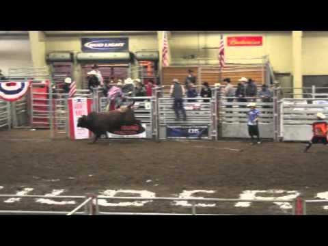 Professional Bull Riding at Majestic Valley Arena- Feb. 16, 2013