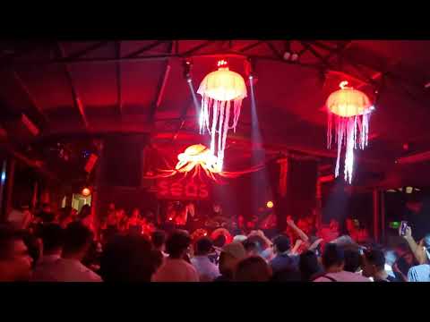 küste B2B Nezello | Surreal Park | Seas Label | 25/11/2022