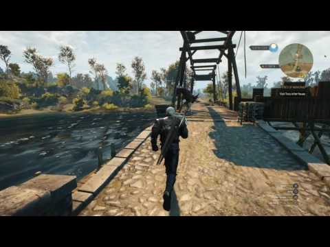 The Witcher 3: Wild Hunt - The Mourner