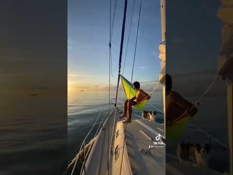 Not bad for a Morning View ☀️ #shorts #sailingconation #reels #ocean #travel