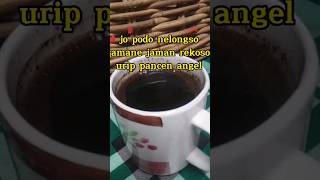 Download lagu @ojopodonlongso jamane jaman rekoso urip pancen angel mp3 Download lagu @ojopodonlongso jamane jaman rekoso urip pancen angel mp3