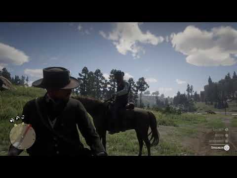 Red Dead Redemption 2 - What a Drag