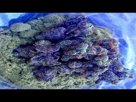 lIlINSVNXMVNX - THRVXXX (Prod. by HYDRO) *CHXPPXD N SCRXWXD*