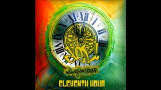Del The Funky Homosapien  --  Eleventh Hour ((2008))