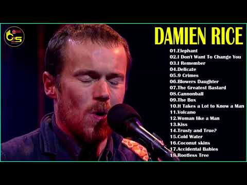 Damien Rice Greatest Hits -  Best Of Damien Rice Full Album - Damien Rice Playlist - indie rock 2018