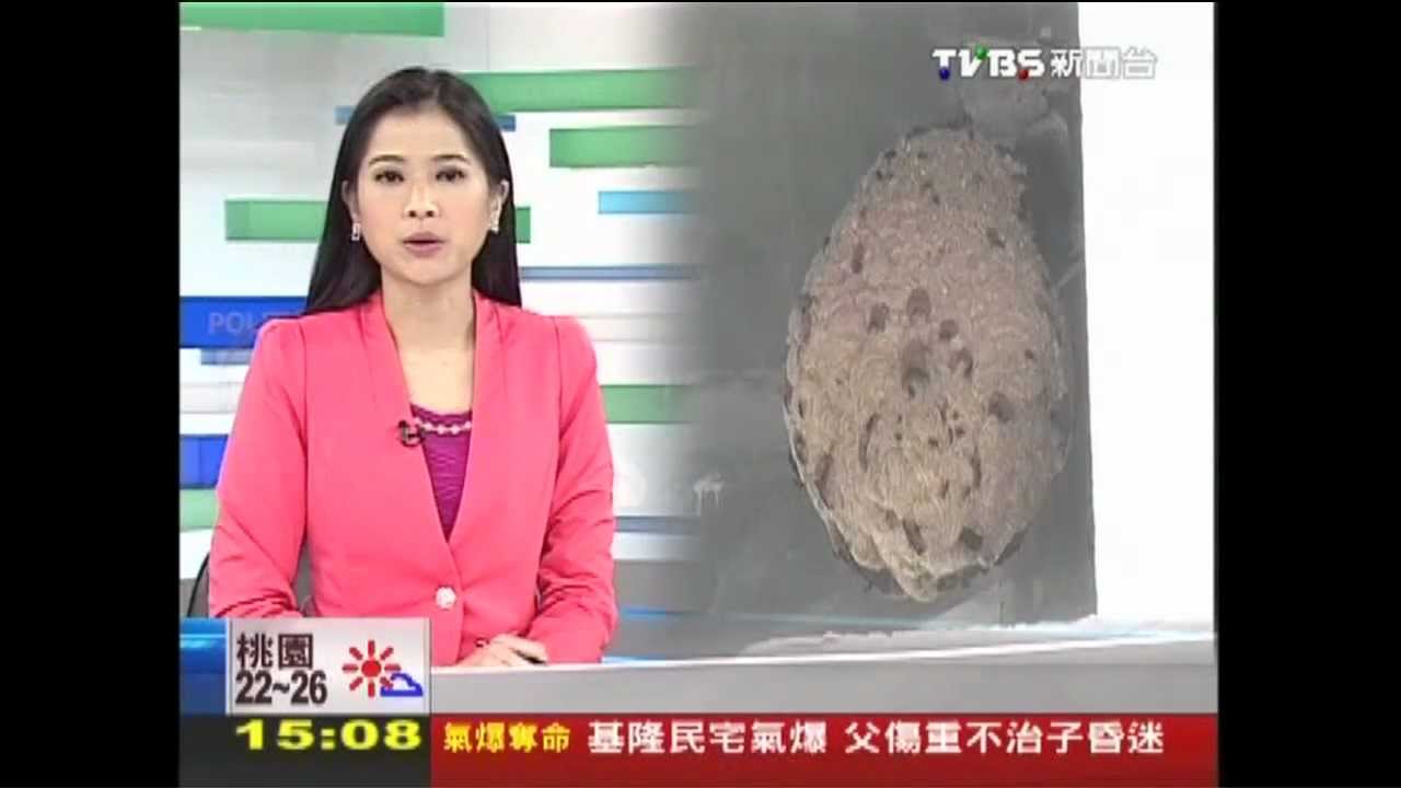 除蜂窩簽切結 摘蜂達人、消防隊傻眼