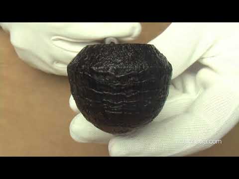 Pipa Dunhill Shell Briar 3108 Group 3 - pipe C418