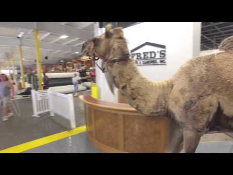 Happy Birthday Trish!