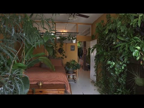 500 Plants in one NYC apartment | Neighbors