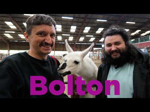 Is Bolton good or rubbish?