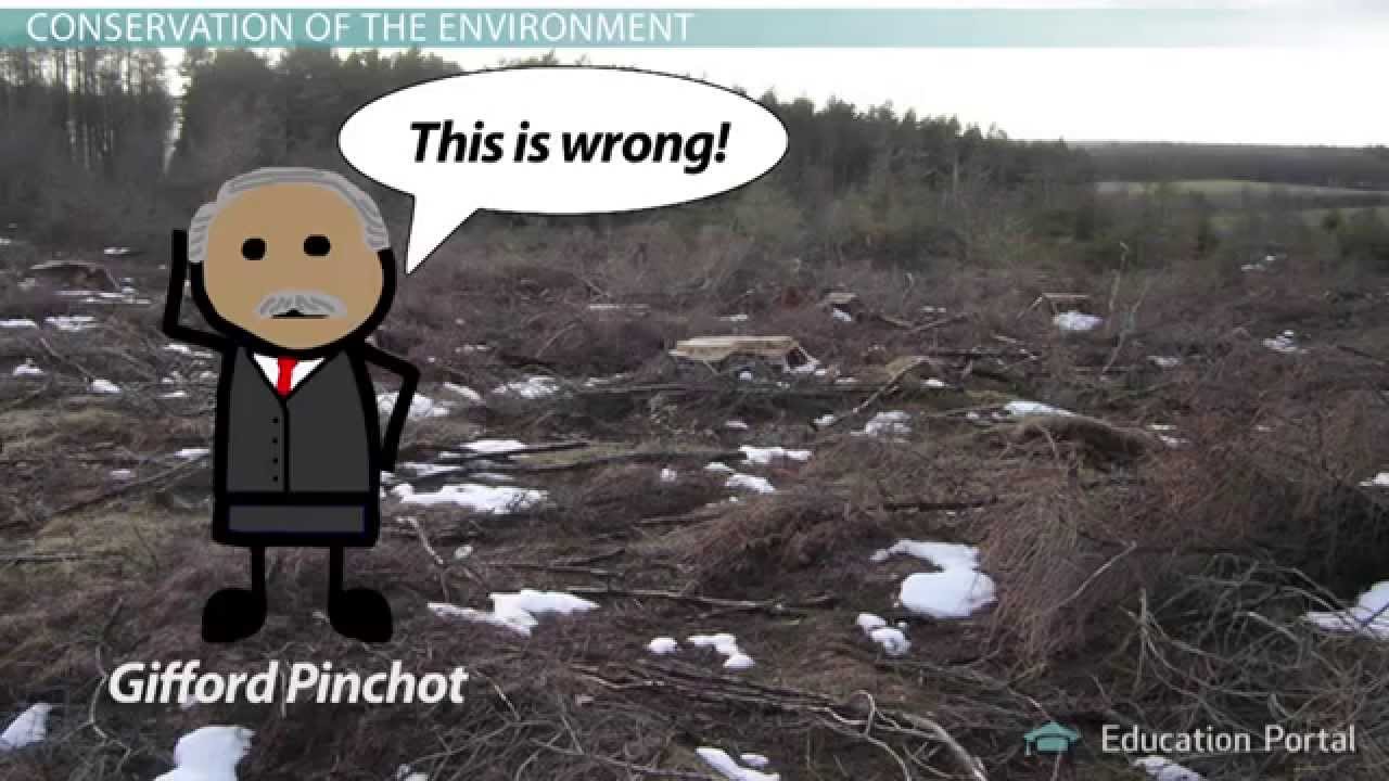 Guide to ecosystem preservation and natural disaster management