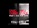 David Guetta ft. Emeli Sandé - What I Did For Love ...