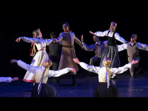 Šķiraties zosu pulki