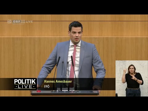 Hannes Amesbauer - Personalnot - 27.4.2023