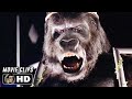 KING KONG New York Clips 1976