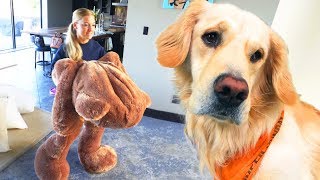 DOG TOY COMES TO LIFE! (Giant 6ft Teddy Bear)
