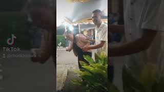 Download lagu dansa dengan nona cantik pulang langsung ketemu di mimpi mp3 Download lagu dansa dengan nona cantik pulang langsung ketemu di mimpi mp3