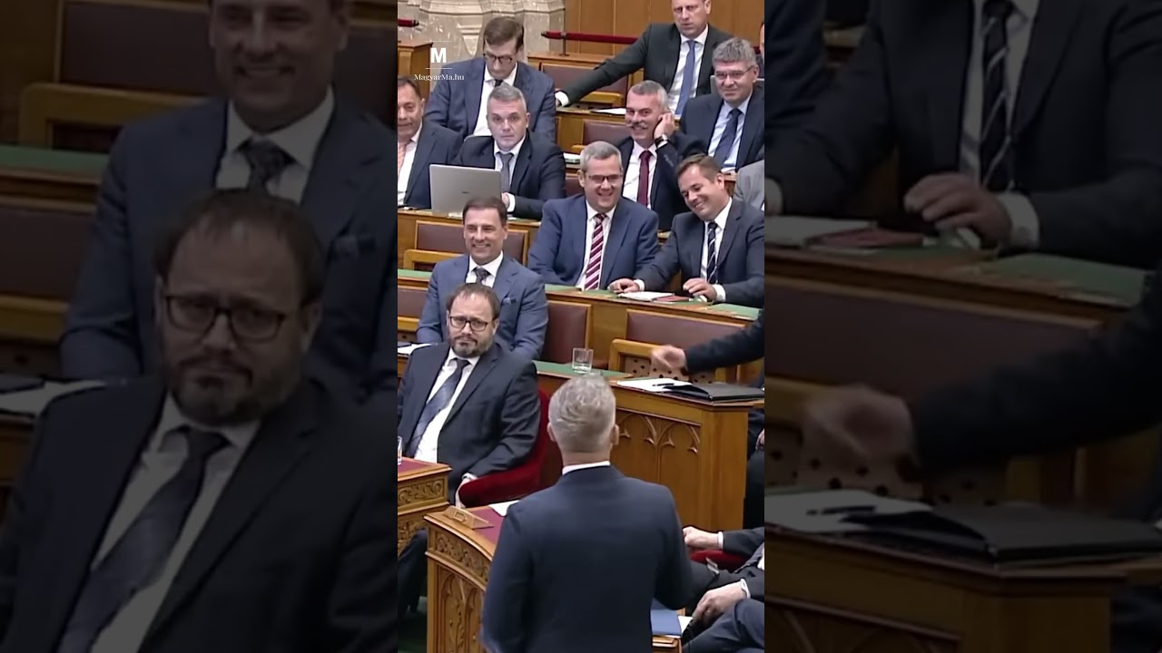 Maffiózónak nevezte Tuzson Bencét