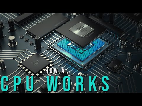 How A CPU Works: Hardware & Software Parallelism