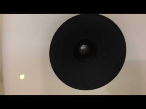 Genelec 8351A hiss after switched off?