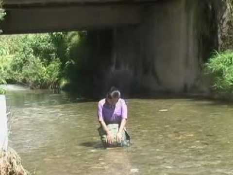 perdon senor...yolanda perez.avi