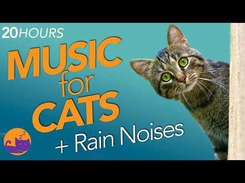 20 HOURS of Relaxing Rain & Ambient Music for Cat Sleep