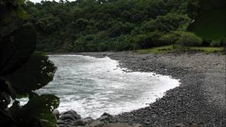 Terence Mckenna: Aliens & Archetypes. Maui - Haiku - Haumana