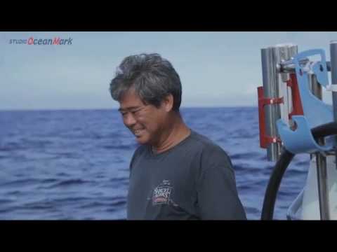 Studio Ocean Mark Blue Heaven - Studio Ocean Mark