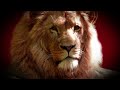 Mother Of Lions Savage Kingdom