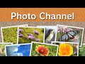 Main Menu Wii Photo Channel OST Extended