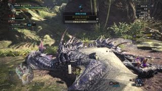 Monster Hunter World: Iceborne黑狼鳥