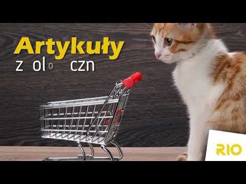 Zobacz filmy filmy
